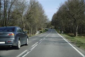 Car on a Road Driving Through Forest photo