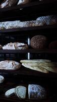 Assorted Breads Displayed on Bakery Shelves video