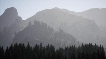un' Visualizza di un' montagna gamma con alberi nel il primo piano video