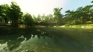 un lago rodeado por arboles en el medio de un bosque video
