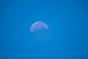 Half moon in the day sky closeup photo