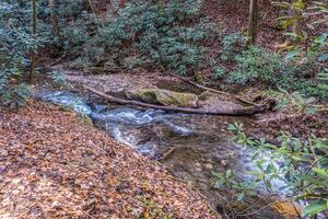 Fast flowing creek in autumn photo