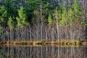 Lake reflections in winter photo