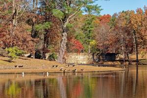 Autumn scene at the Cumberland mountain state park in Tennessee photo