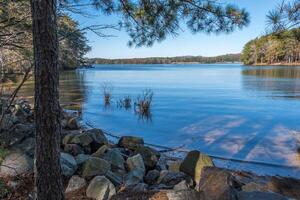 Lake shoreline in a park photo