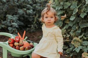 linda pequeño niña es cosecha. jardín carretilla con vegetales y frutas otoño concepto foto