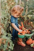 pequeño niña en vestido, caucho botas y un Paja sombrero es riego, regar plantas en el otoño jardín foto