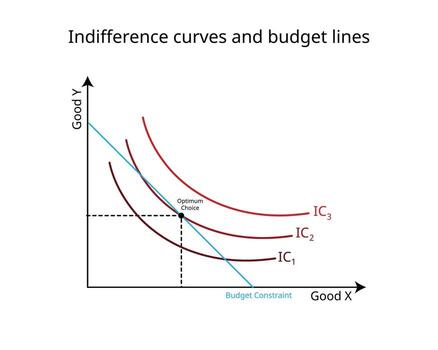 budget constraints and indifference curves graph in economics vector