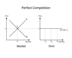 Perfect competition is a market structure that exists when firms take the industry equilibrium price as their own vector