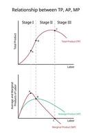 teoría de producción para total producto, promedio producto, marginal producto vector