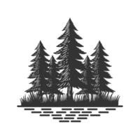 Rustic Pine Evergreen Cedar Cypress Larch Conifer Coniferous Fir Trees Forest Logo Design vector