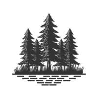 Rustic Pine Evergreen Cedar Cypress Larch Conifer Coniferous Fir Trees Forest Logo Design vector