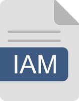 IAM File Format Flat Icon vector