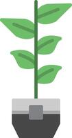 Rubber Plant Flat Icon vector