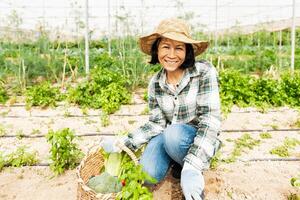 Happy southeast Asian woman working inside agricultural greenhouse - Farm people lifestyle concept photo