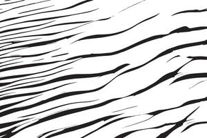 High-Resolution Black and White Zebra Patterns Textures and Backgrounds for Graphic Design Projects and Creative Professionals vector