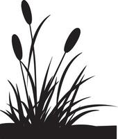 Silhouette Reed Plant Image vector