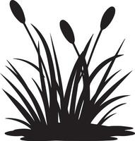 Silhouette Reed Plant Image vector