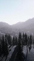 splendide paysage alpin en hiver video