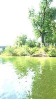 beau lac jardin avec reflet video