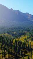 Mountains covered with woods in the early morning mist video