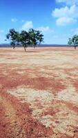 drought land without any water video