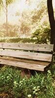 banc dans le parc d'été avec vieux arbres et sentier video