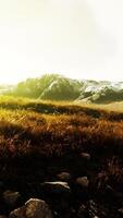 campi di erba secca e montagne in nepal video