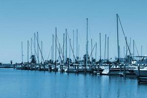 veleros en el puerto a puerto de roca, Texas. foto