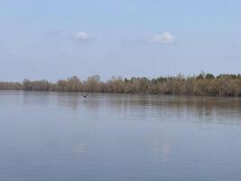 River fishing in nature in the village photo