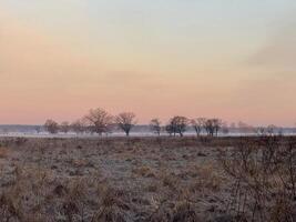 río pescar en naturaleza en el pueblo foto