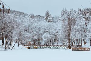 Winter landscape with a bridge and trees covered with frost photo