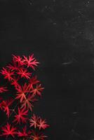 A branch with red autumn leaves on a black board. Vertical image with copy space photo