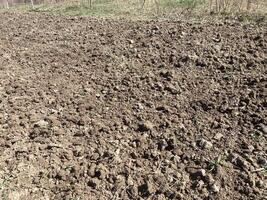 Soil processed by a plow in spring photo