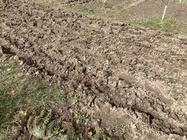 Soil processed by a plow in spring photo