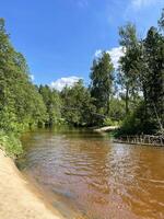 hermosa paisaje, pequeño río en el bosque foto