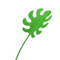 Tropical green leaf fern herbal plant with stem ecology botanical decor 3d icon realistic vector