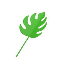 Green fern tropical leaf with stem ecology organic plant rainforest branch 3d icon realistic vector