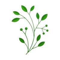 Botanical green tree branch wood plant stem with bio organic leaves 3d icon realistic vector