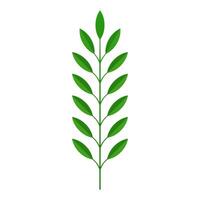 Green tree branch with stem and leaves tropical plant bio organic botany decor 3d icon vector