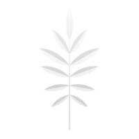 White tree branch elegant tropical fern botanical blossom design element 3d icon realistic vector
