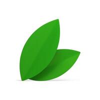 Green leaves eco bio organic foliage natural botanical lush decor element 3d icon realistic vector