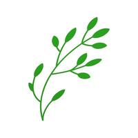 Green eco tree branch with leaves lush botanical eco organic decorative design 3d icon vector