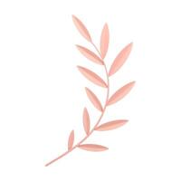 Pink elegant tree branch tropical botanical romantic decor element 3d icon realistic vector