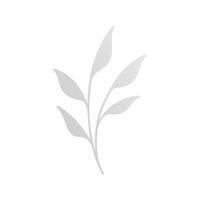 blanco césped vástago follaje árbol rama elegante decorativo elemento para composición 3d icono vector