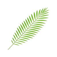 Green fern botanical tree branch nature ecology jungle rainforest paradise plant 3d icon vector