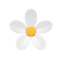 Romantic chamomile natural organic flower botanical blossom bud isometric 3d icon realistic vector