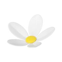 Chamomile bud natural flower summer ecology environment floristic plant 3d icon realistic vector