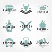 Retro Vintage Logotypes or insignias Hand drawn style set vector