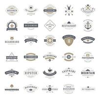 Retro Vintage Logotypes or insignias set. design elements vector